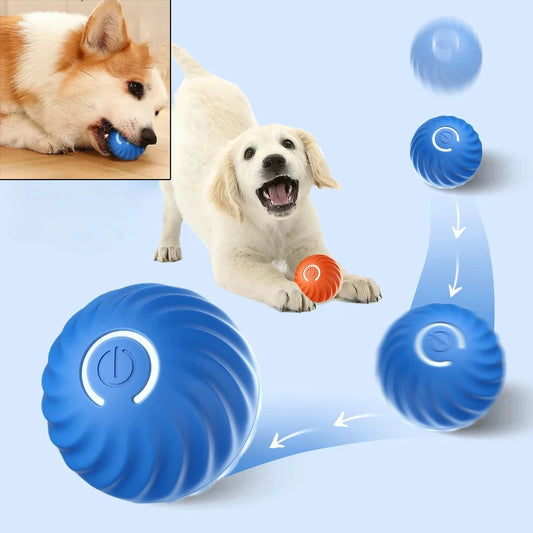 Bola Rebotadora Juguete USB para perro interactiva